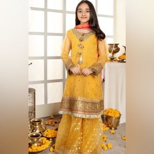 Girls 3 piece organza embroidered gharara dress